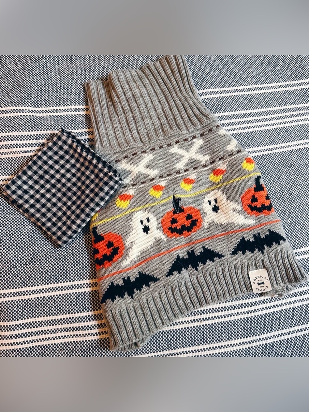 American Beagle Outfitters special edition fall Halloween sweater dog cat XS